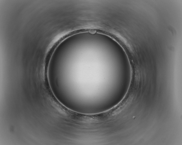 X0000112091270200908041443