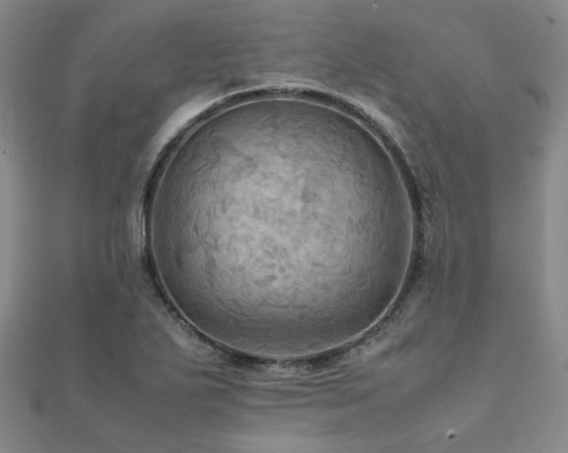 X0000112091271200908041443