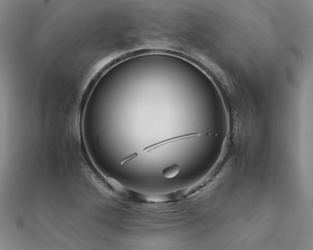X0000112091272200908041443