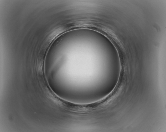 X0000112091273200908041443