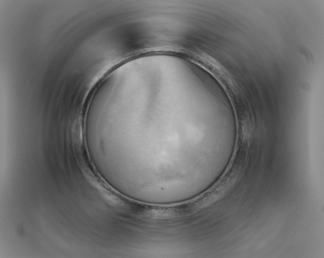 X0000112091274200908041443