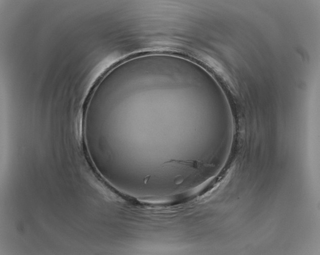 X0000112091275200908041443