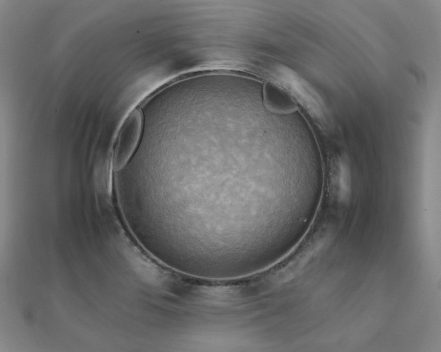 X0000112091276200908041443
