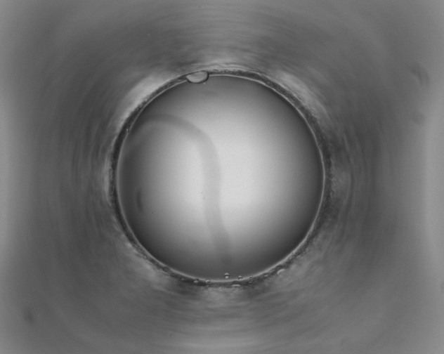 X0000112091277200908041443