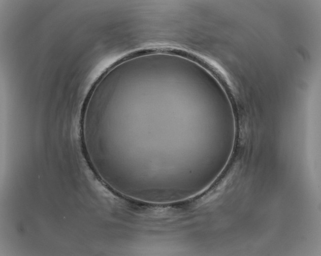 X0000112091279200908041443