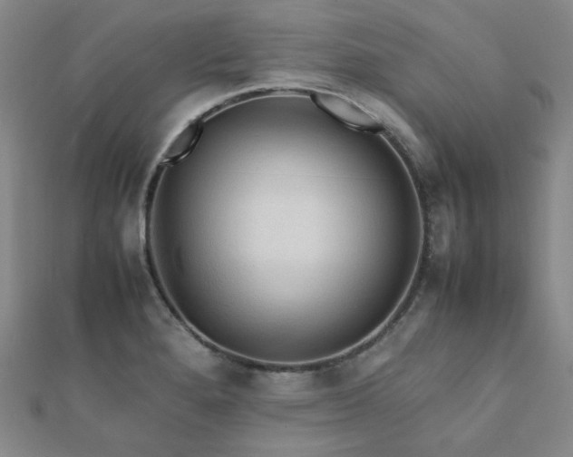 X0000112091280200908041443