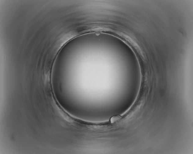 X0000112091281200908041443