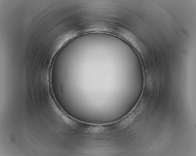 X0000112091282200908041443