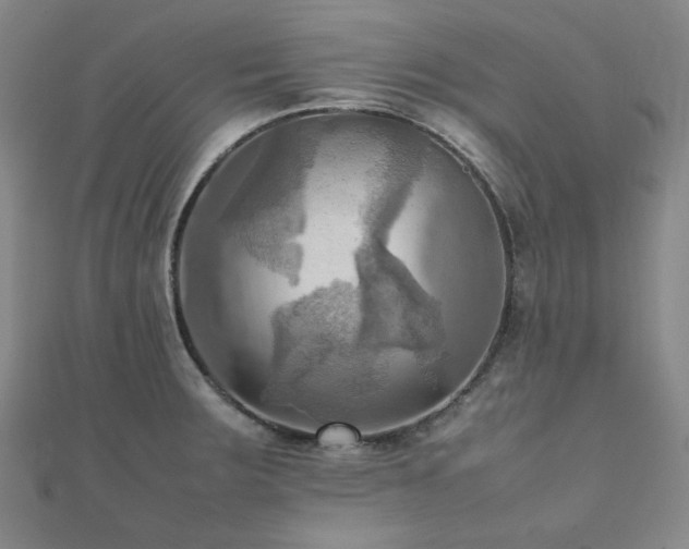 X0000112091283200908041443