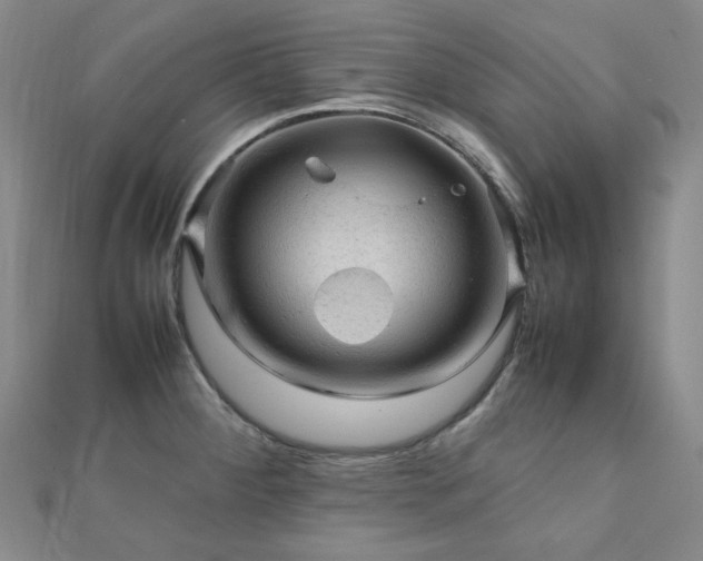 X0000112091284200908041443