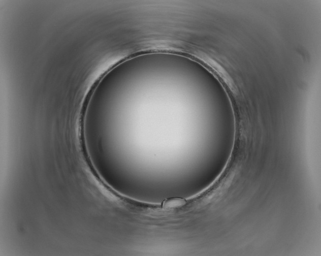 X0000112091285200908041442