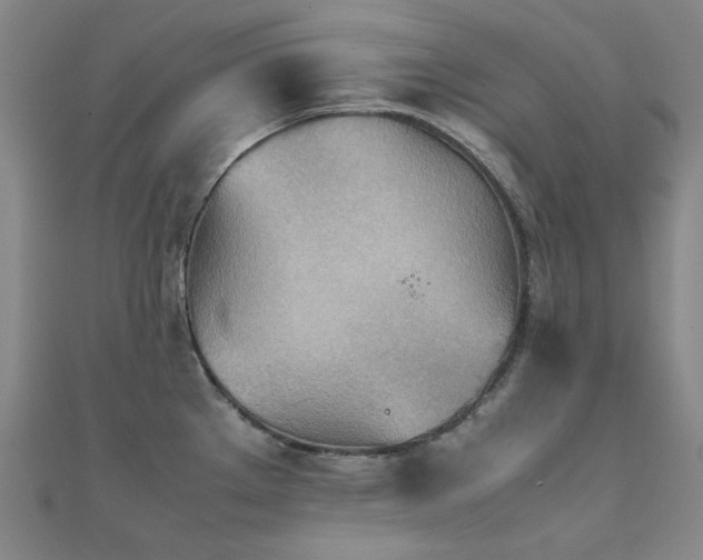 X0000112091289200908041442