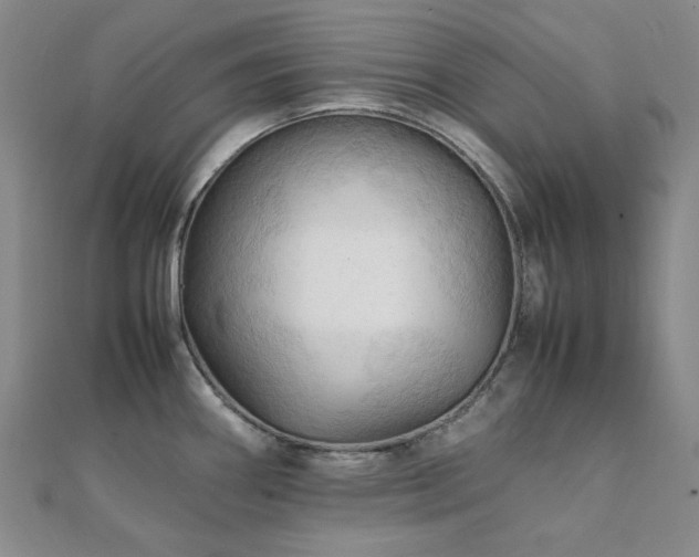 X0000112091290200908041442
