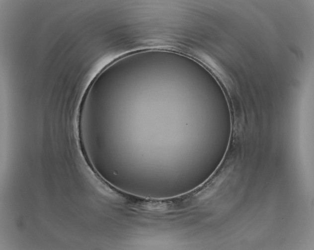 X0000112091291200908041442