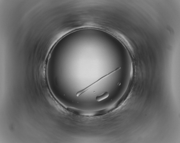 X0000112091292200908041442