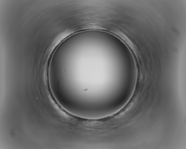 X0000112091293200908041442