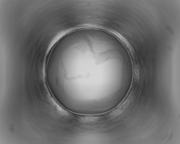 X0000112091294200908041442