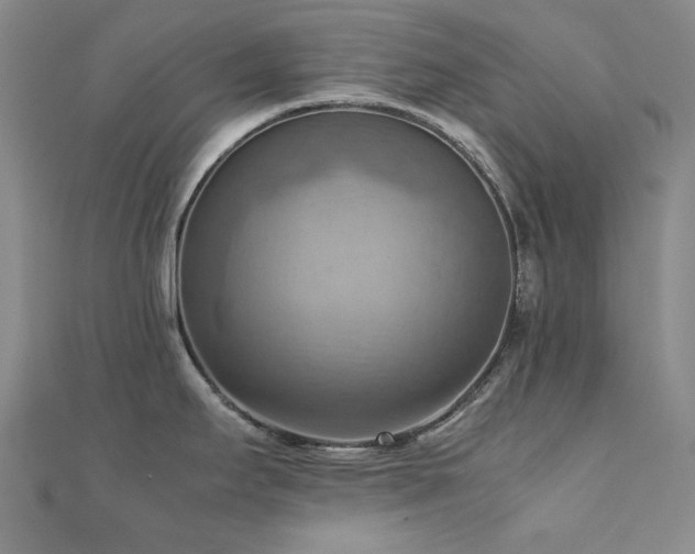 X0000112091295200908041442