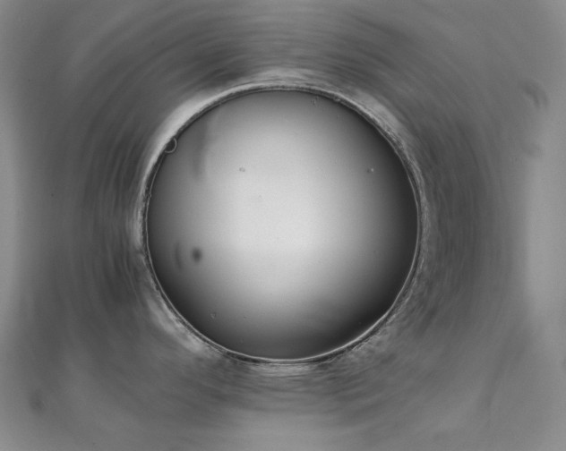 X0000112091296200908041442