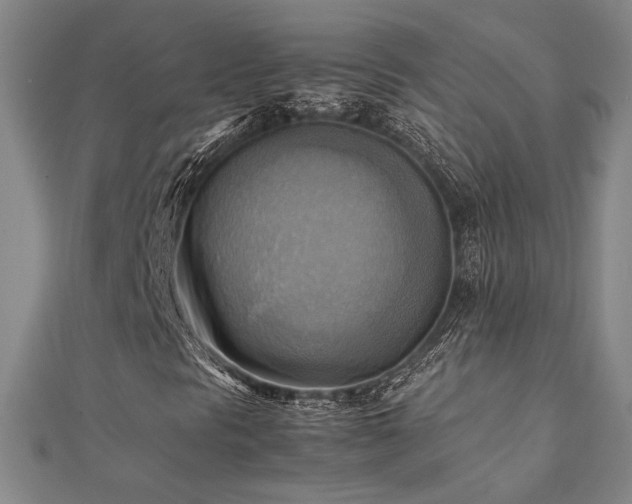 X0000112091297200908041442