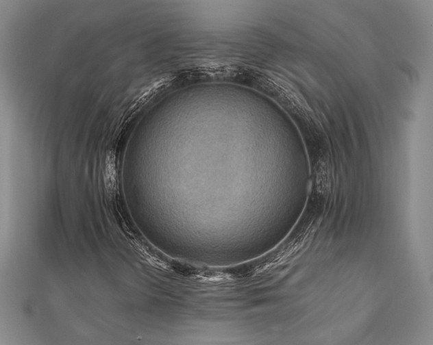 X0000112091298200908041442