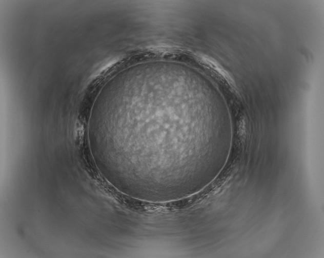 X0000112091302200908041442