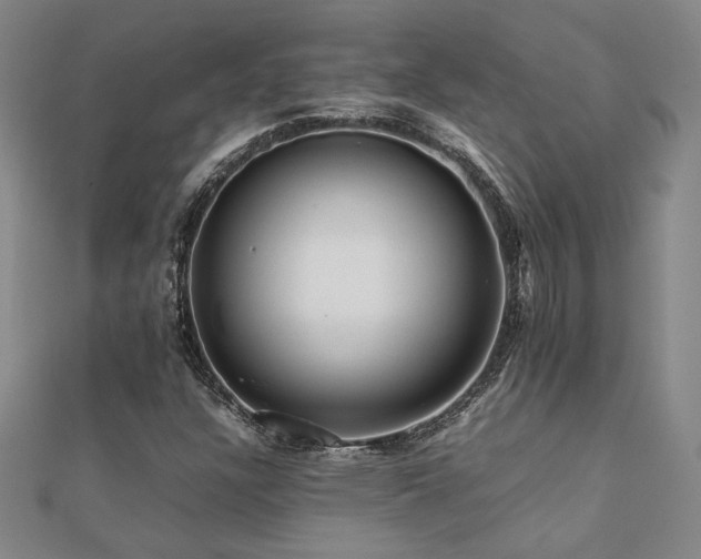 X0000112091304200908041442