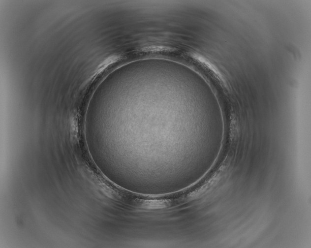 X0000112091305200908041442