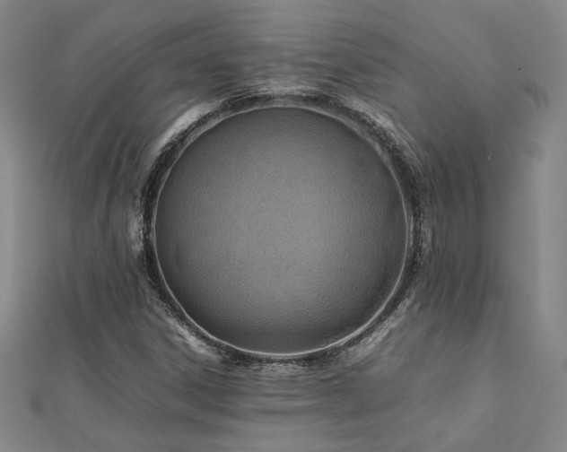X0000112091306200908041442
