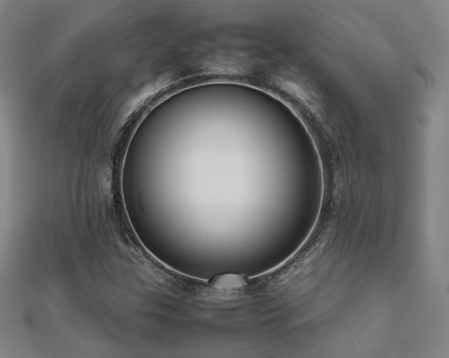 X0000112091307200908041442