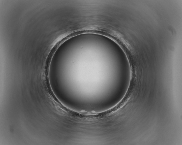 X0000112091308200908041442