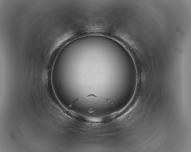 X0000112091309200908041442