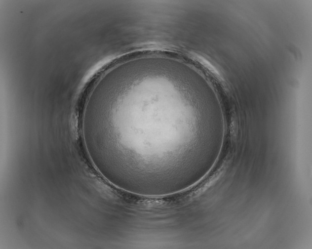 X0000112091310200908041442