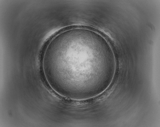 X0000112091311200908041442