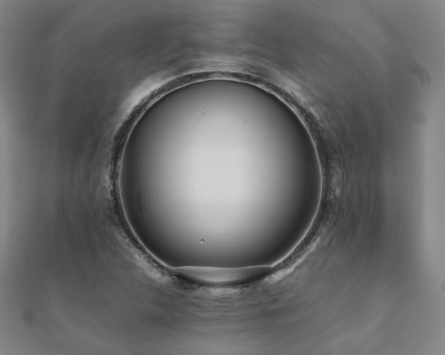 X0000112091312200908041442
