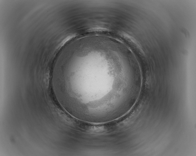 X0000112091313200908041442