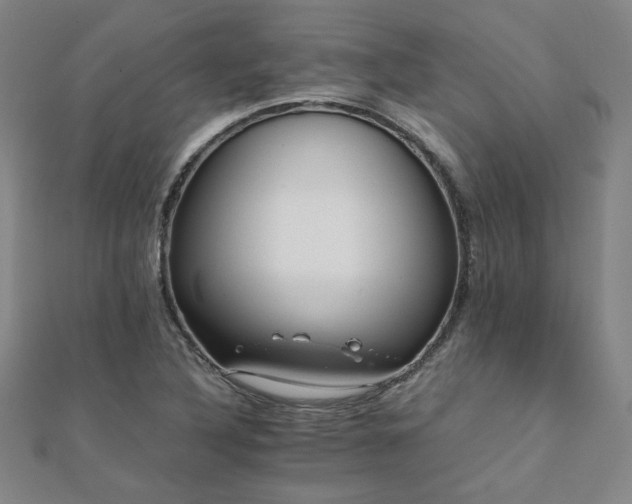 X0000112091316200908041442