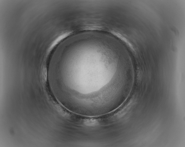 X0000112091317200908041442