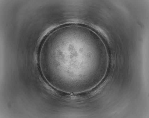 X0000112091318200908041442