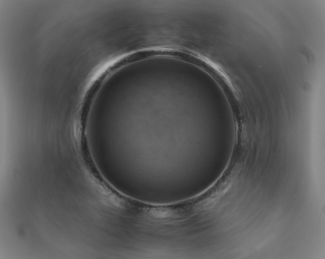 X0000112091319200908041442
