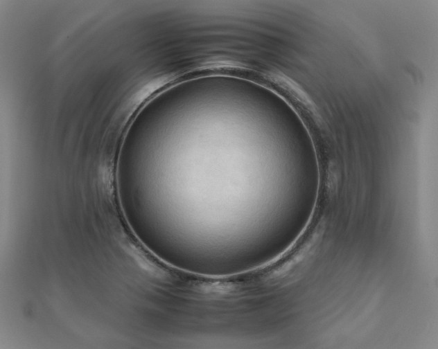 X0000112091321200908041442