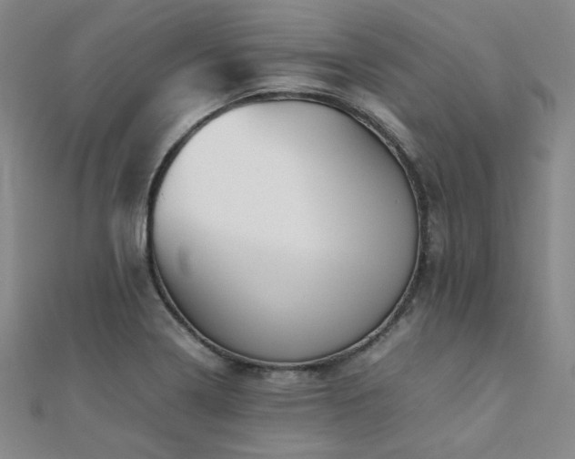 X0000112091322200908041442