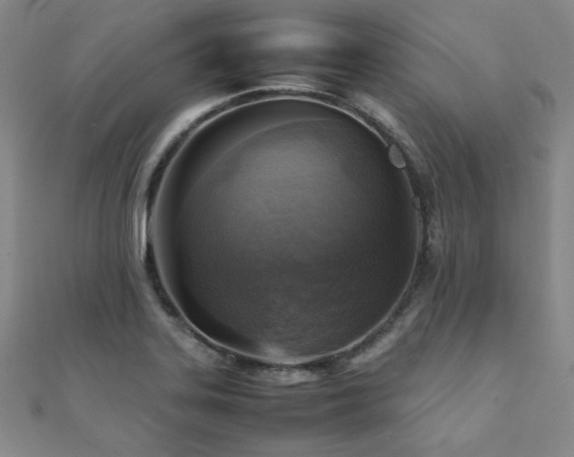 X0000112091323200908041442