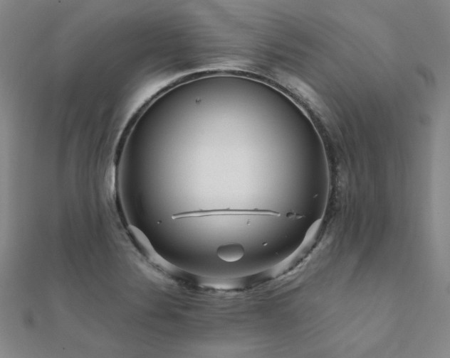 X0000112091324200908041442