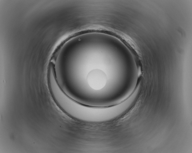 X0000112091326200908041442