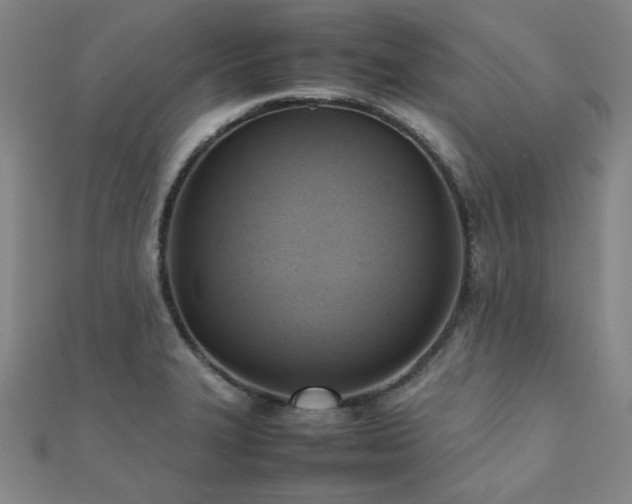 X0000112091327200908041442