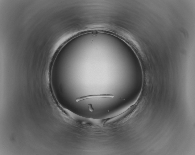 X0000112091328200908041442