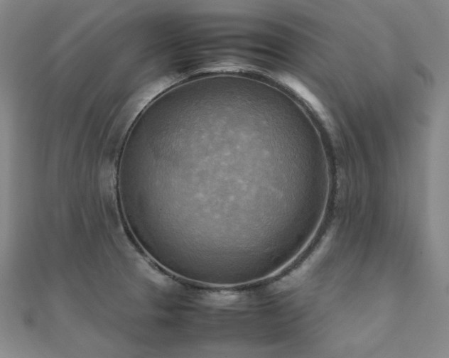 X0000112091329200908041442