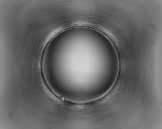 X0000112091330200908041442