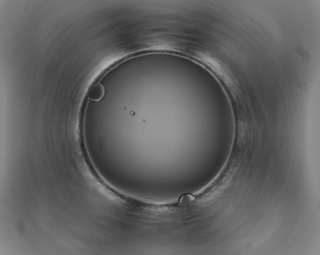 X0000112091331200908041442